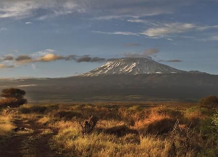 Hotel Elerai Camp Amboseli-Nationalpark Exterior foto