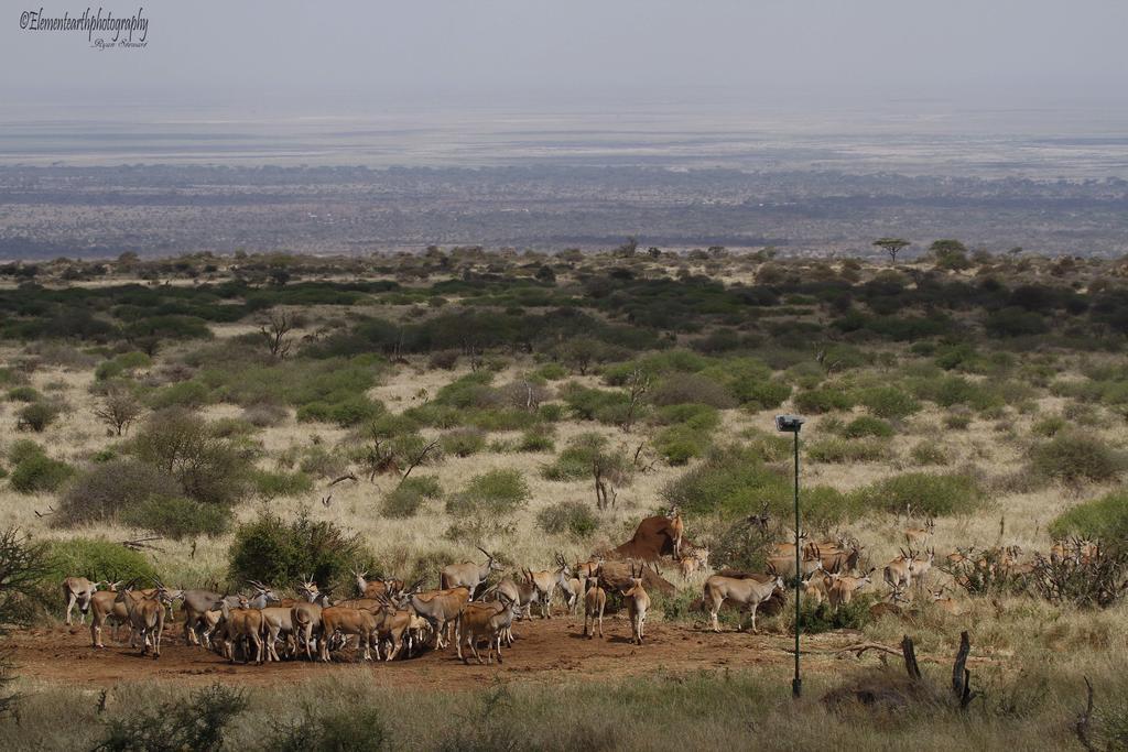 Hotel Elerai Camp Amboseli-Nationalpark Exterior foto