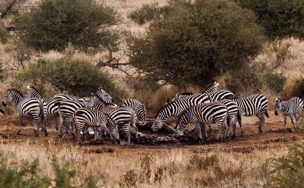 Hotel Elerai Camp Amboseli-Nationalpark Exterior foto