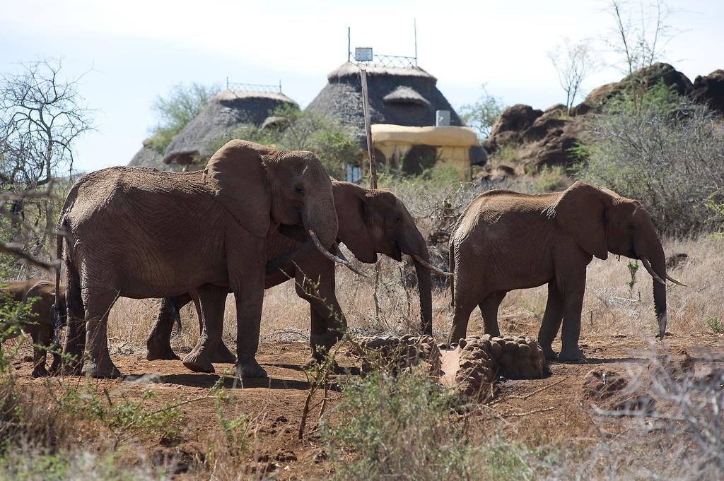 Hotel Elerai Camp Amboseli-Nationalpark Zimmer foto